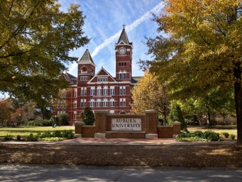 business analytics tai auburn university